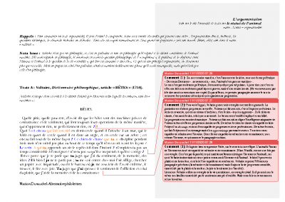 Voltaire-et-Descartes-machine-ou-pas-machine-lanimal_-1
